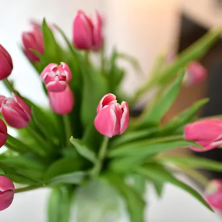 Dinkelbach 1 A Appartement