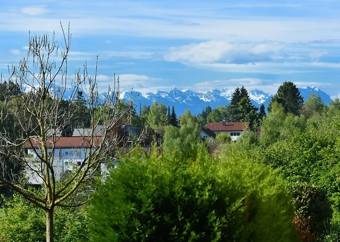 Dinkelbach 1 A * 伯多兹